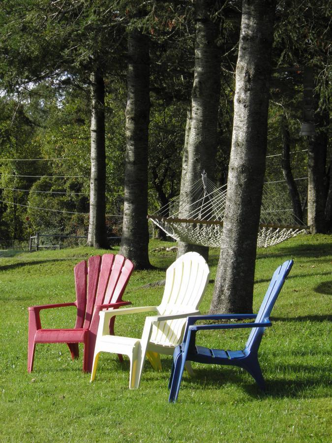 Firefly Bed & Breakfast Lincoln Exterior foto